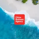Securing Features on Sina, Tencent, and NetEase