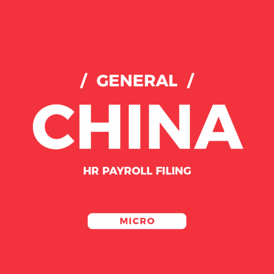 China HR Payroll Filing – Micro